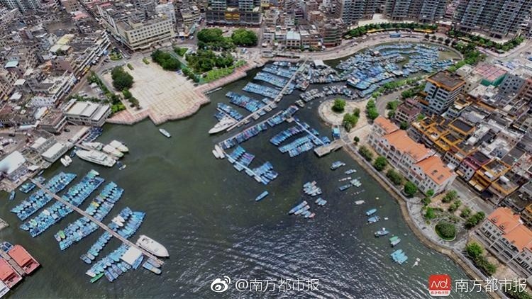 防办最新消息，心灵与自然的约定之旅启动
