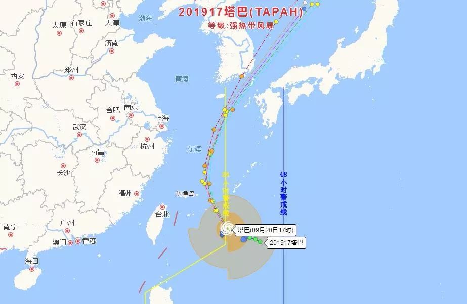 浙江最新实时台风路径探索与小巷深处的惊喜宝藏