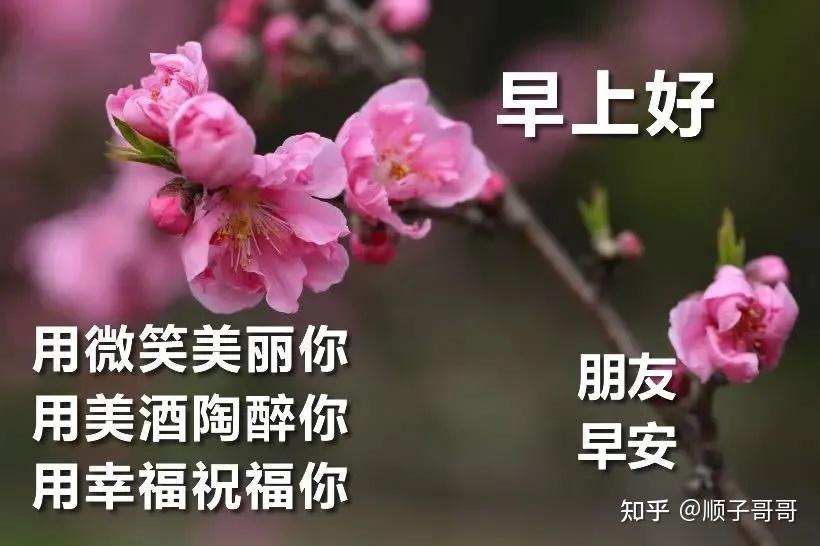 冬季暖心问候语，温暖陪伴你一整个冬天