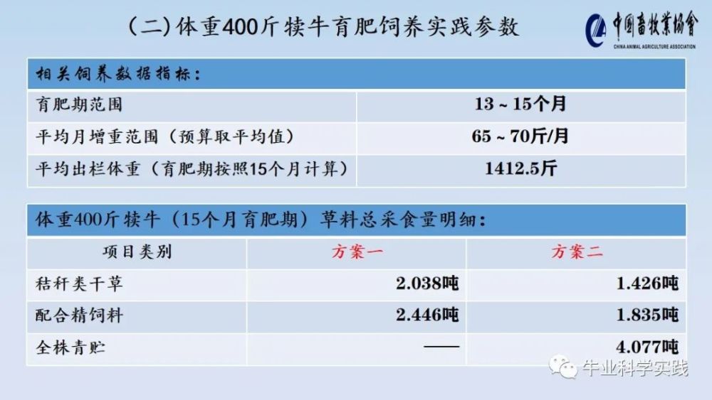 新澳天天开奖资料大全62期,实践数据分析评估_高效版16.362
