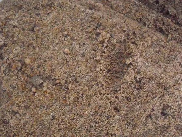 探索海洋资源新星，最新海砂揭秘与应用前景