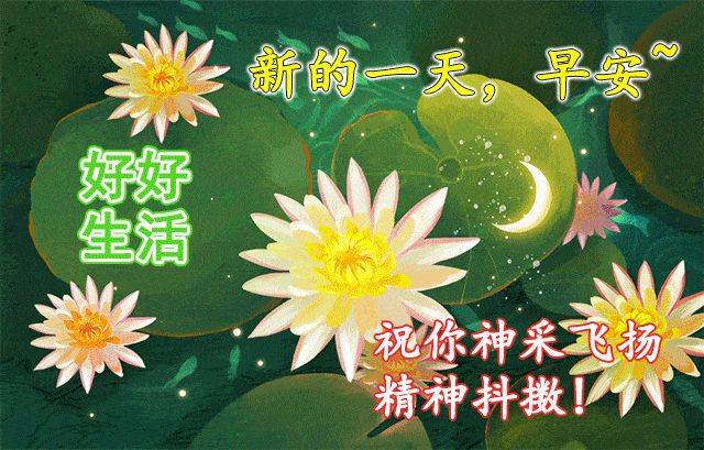 最新视频问候，自然美景探索之旅，带你远离尘嚣寻找内心平静