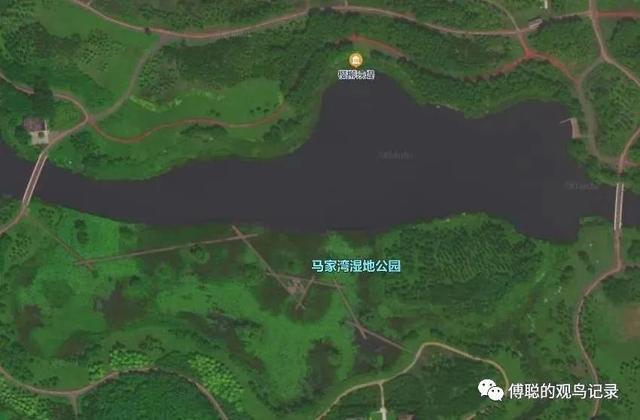 北京马家湾湿地公园动态，自然之韵的时代展现