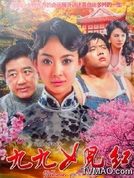 九丹电视剧剧情全解析