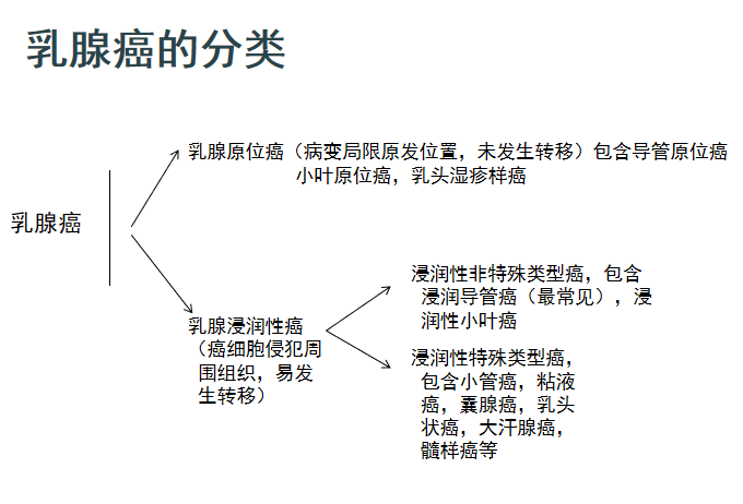 最新乳腺分类，时代背景下的医学进步探索