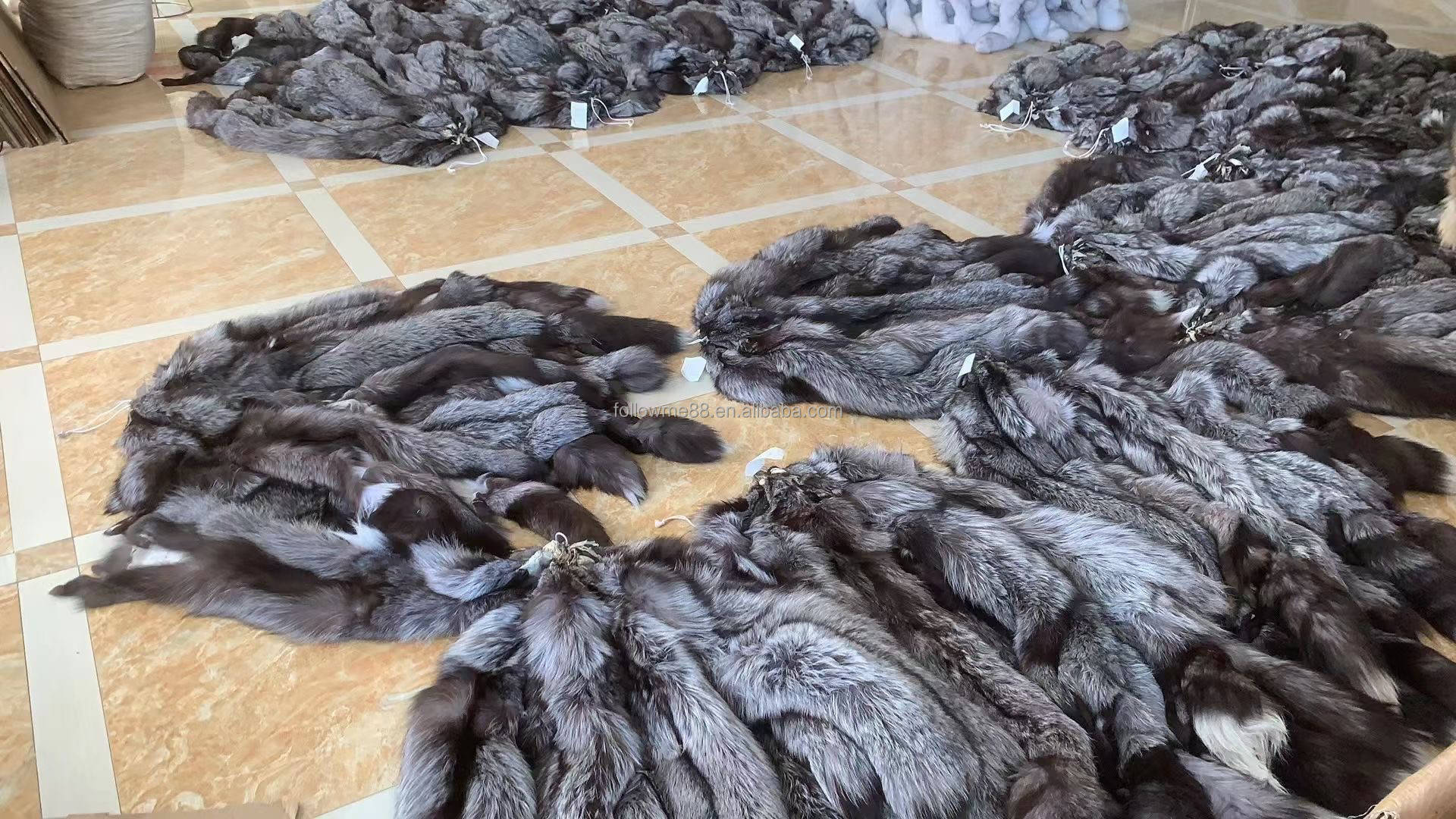 狐皮行情最新动态更新