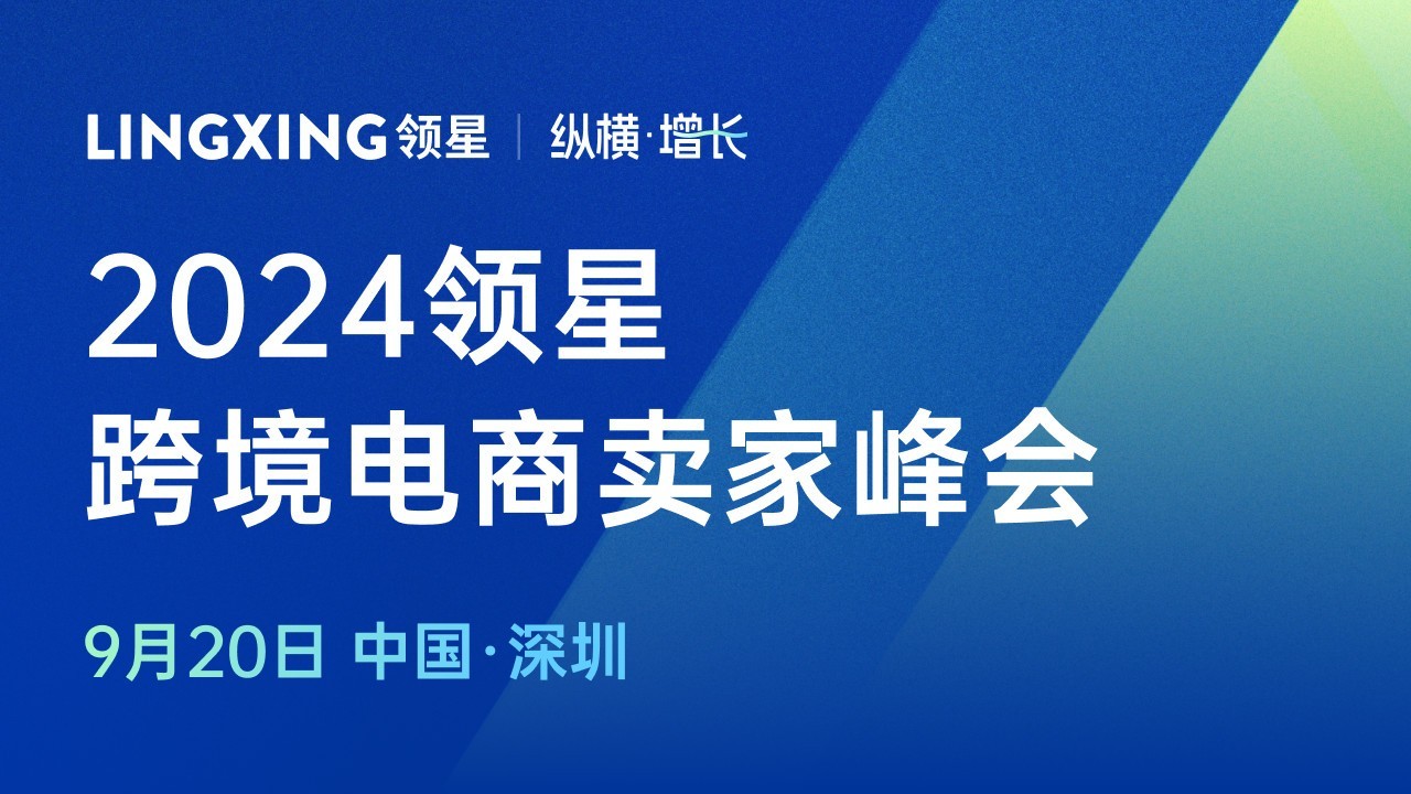 揭秘2024年最新商机，小巷深处的隐藏宝藏，未曾发现的商机之花