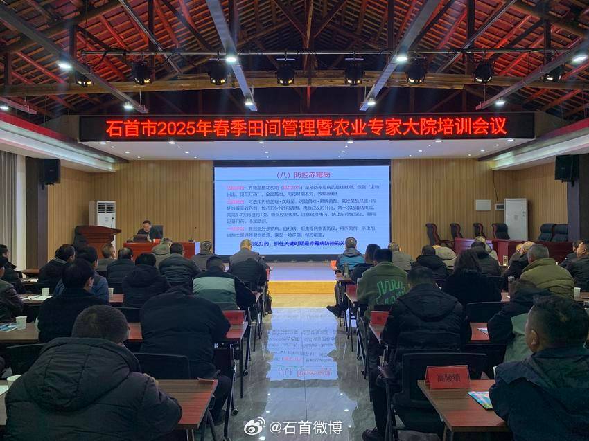 湖北石首新闻最新动态与观点论述