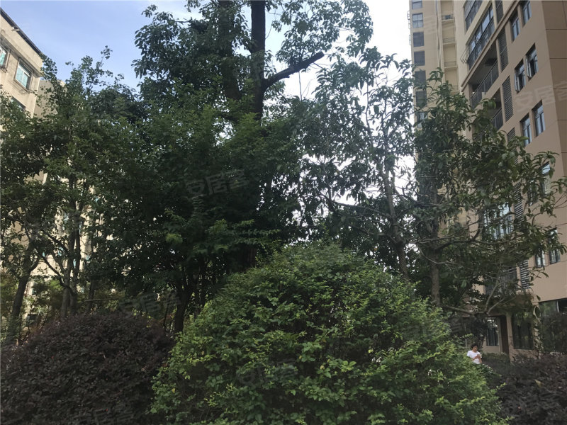 嘉晟长河水岸最新动态揭秘，最新进展与资讯速递