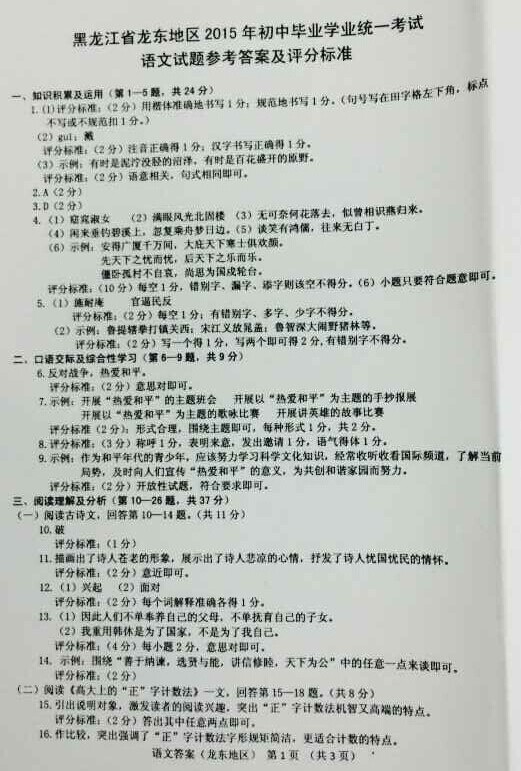 伊春最新公告发布，关注最新动态与资讯