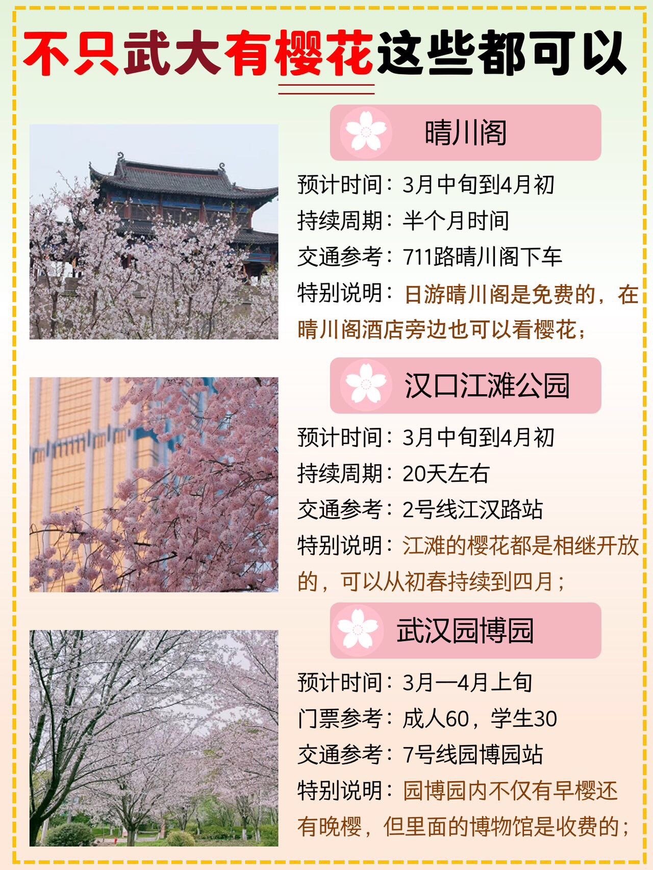 武汉樱花秘境，小巷深处的樱花与独特风味小店新探