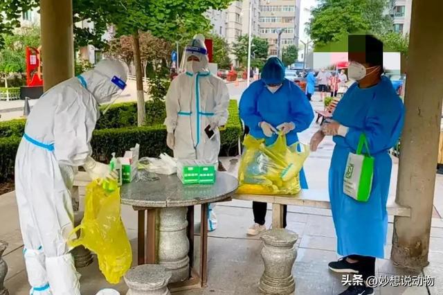 新乐最新疫情实时更新报告