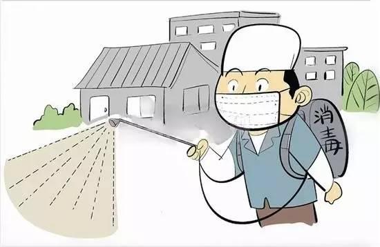 最新疫情灾区应对指南，任务完成与技能提升策略