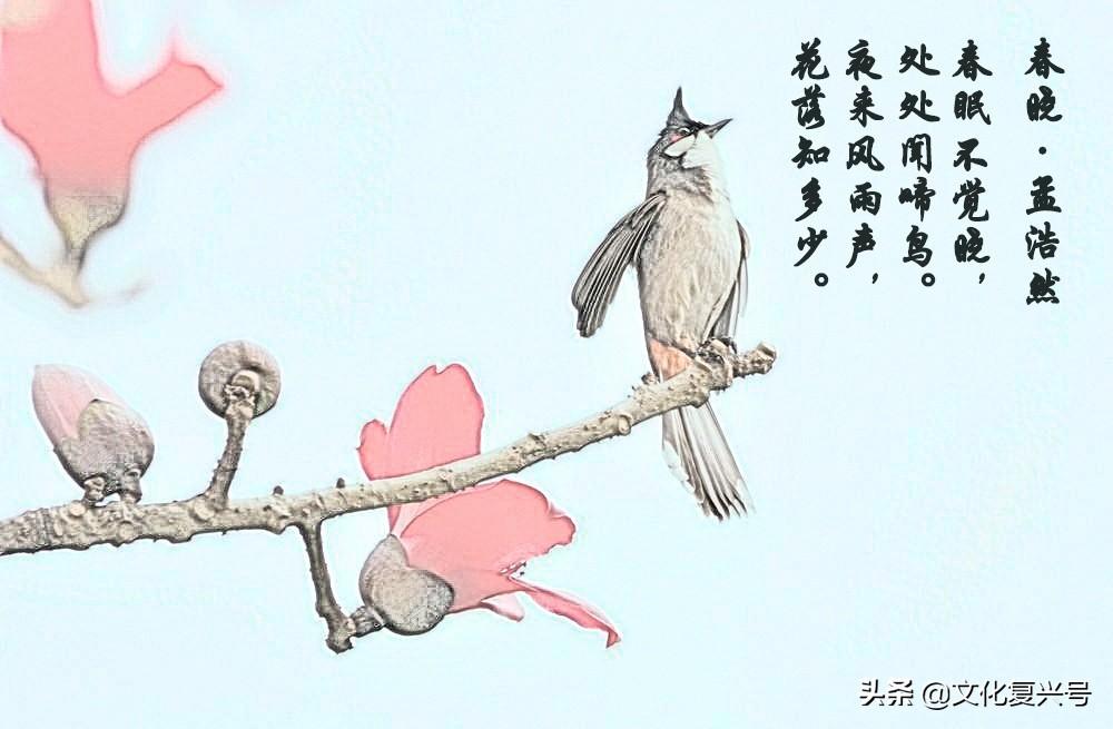 最新小学唐诗学习指南与精选唐诗赏析