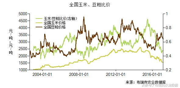 广东豆粕最新动态与论述