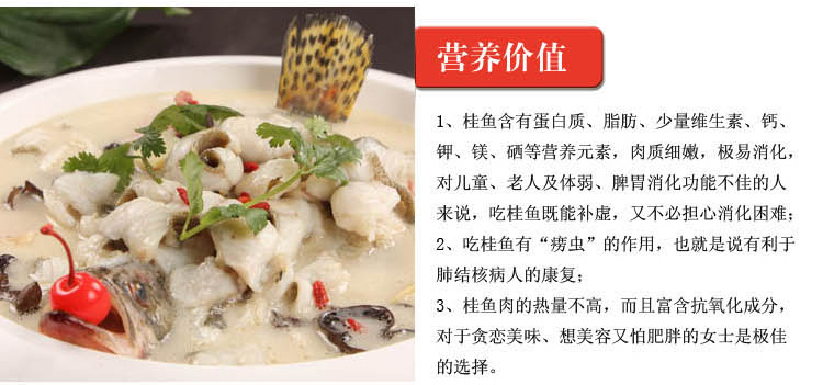 桂鱼最新价，跃升的鱼与励志故事启航