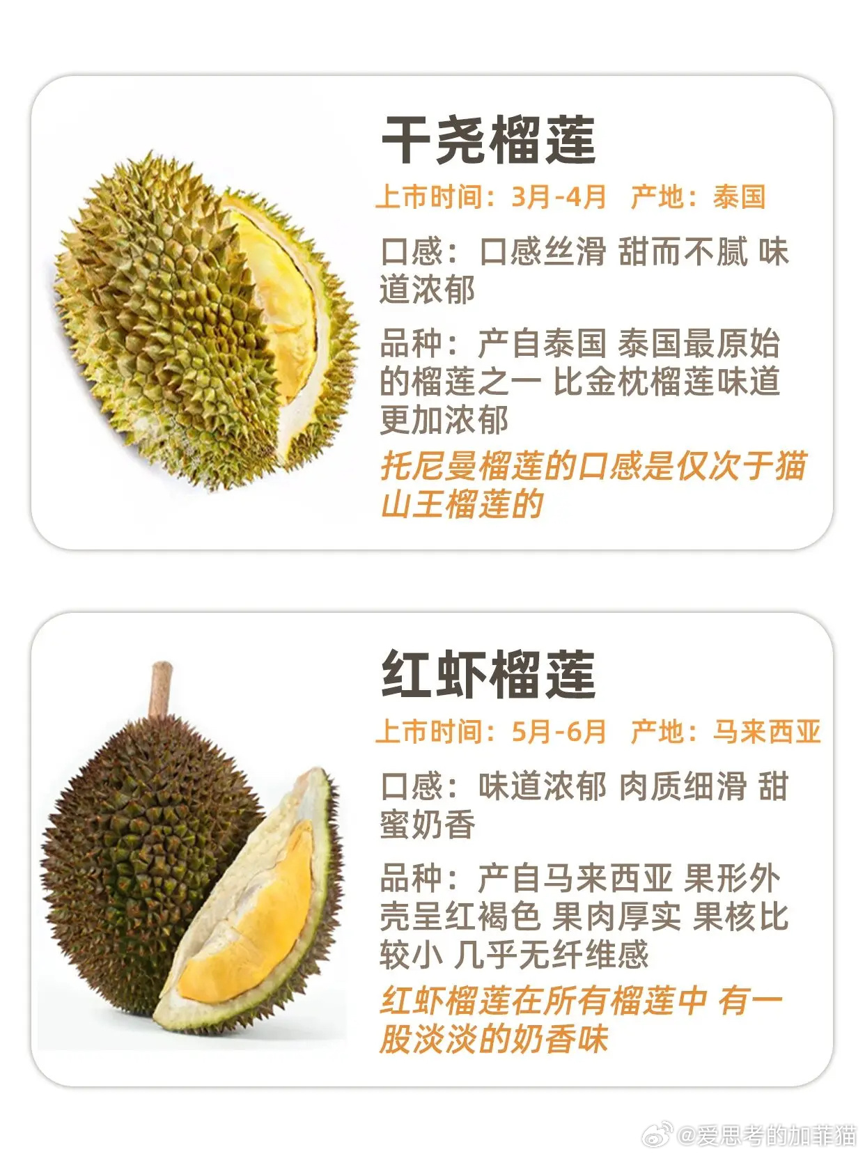 榴莲最新动态，探索榴莲世界，新鲜资讯一网打尽