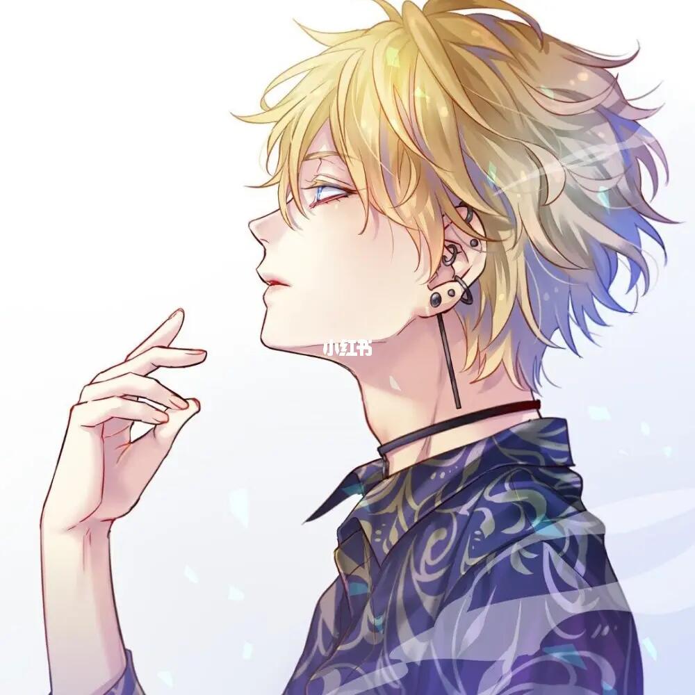 动漫男孩头像的魅力，探究男性形象塑造与魅力展现