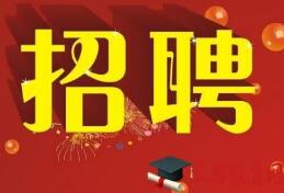 最新高薪职位招聘多元视角解析与探讨